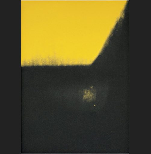 Andy Warhol Shadows II